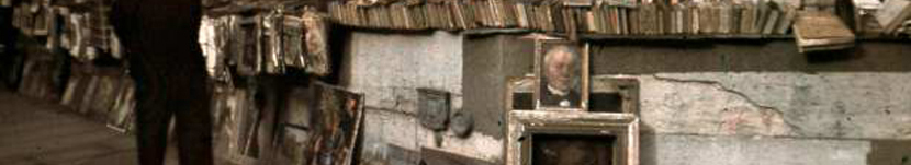 banner CEGESOMA