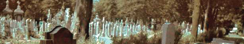 banner CEGESOMA