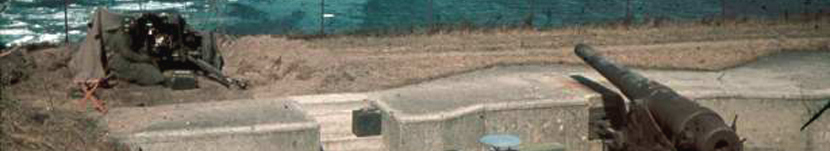 banner CEGESOMA