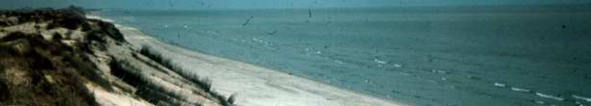 banner CEGESOMA