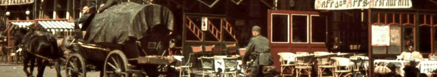 banner CEGESOMA