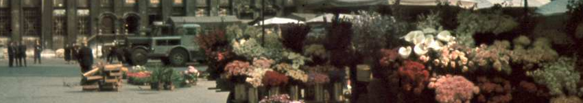 banner CEGESOMA