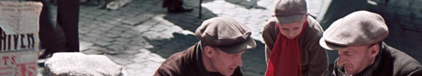 banner CEGESOMA