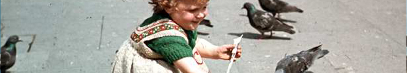 banner CEGESOMA