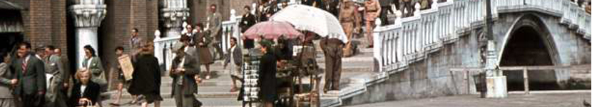banner CEGESOMA