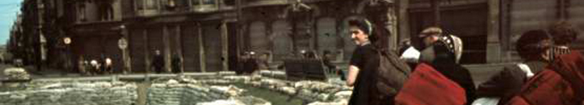 banner CEGESOMA