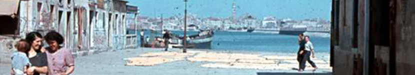 banner CEGESOMA