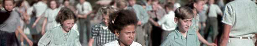 banner CEGESOMA