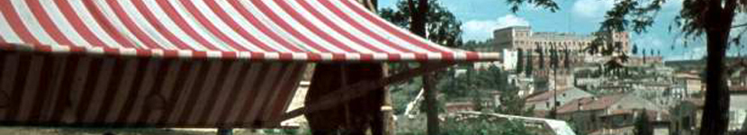 banner CEGESOMA
