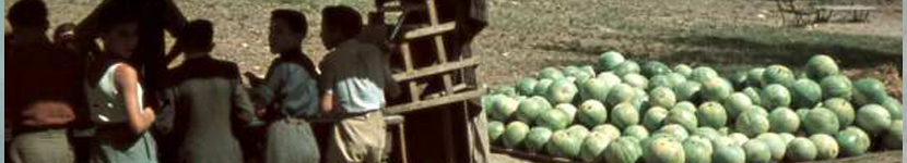 banner CEGESOMA