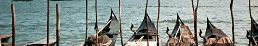 banner CEGESOMA