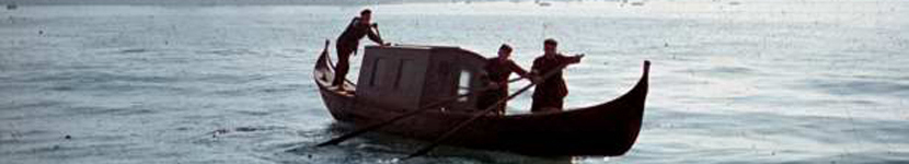 banner CEGESOMA