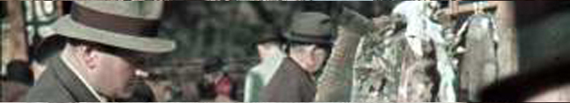 banner CEGESOMA