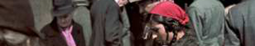 banner CEGESOMA