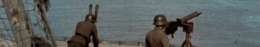 banner CEGESOMA