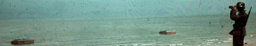 banner CEGESOMA