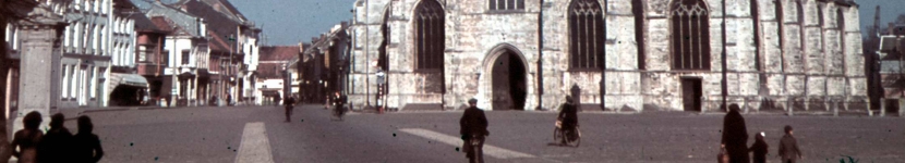 banner CEGESOMA