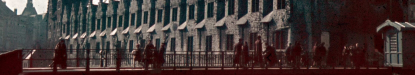banner CEGESOMA