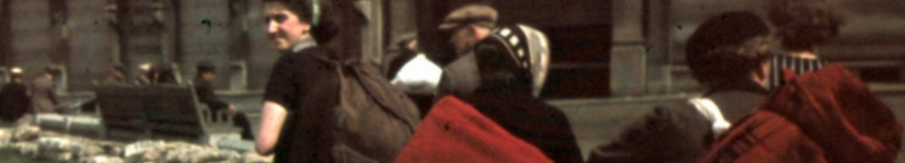 banner CEGESOMA
