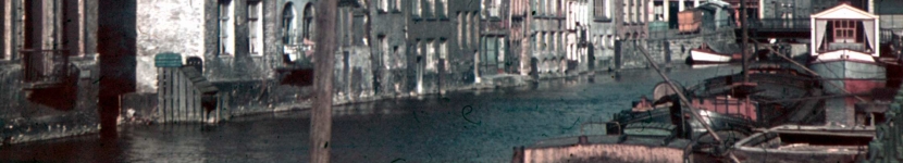 banner CEGESOMA