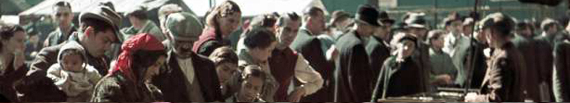 banner CEGESOMA