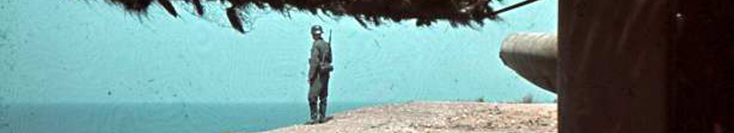 banner CEGESOMA