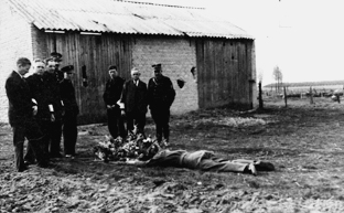 The body of SAS-sergeant Jean Melsens, retrieved by members of the White Brigade of Peer just after he was killed on 10 September 1944 in Meeuwen by retreating German troops' (photo Cegesoma)