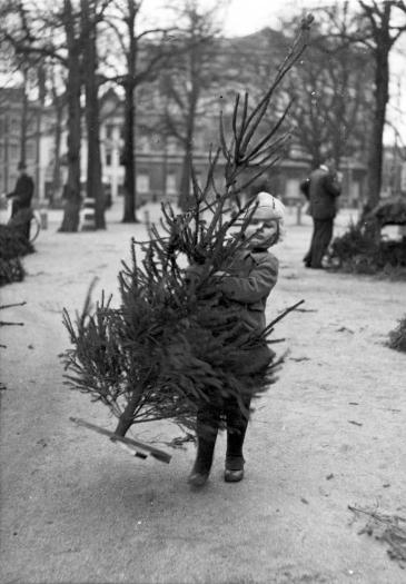 Picture no 137848, Den Haag, 16.XII.1943, collection Sipho, rights reserved CegeSoma/State Archives. Picture no 137848, Den Haag, 16.XII.1943, collection Sipho, rights reserved CegeSoma/State Archives.